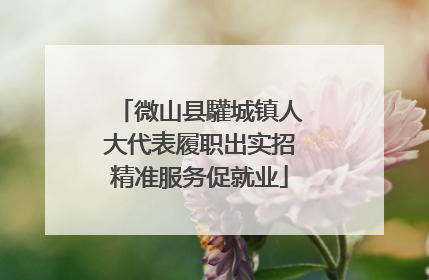 微山县驩城镇人大代表履职出实招精准服务促就业