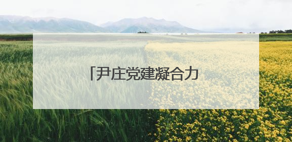 尹庄党建凝合力 联建议事促振兴