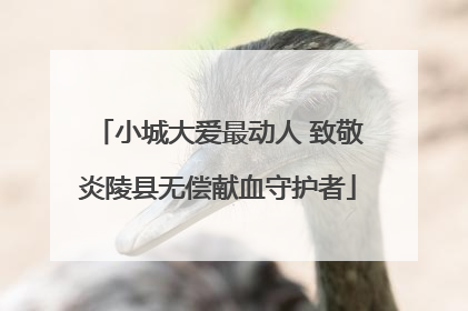 小城大爱最动人 致敬炎陵县无偿献血守护者