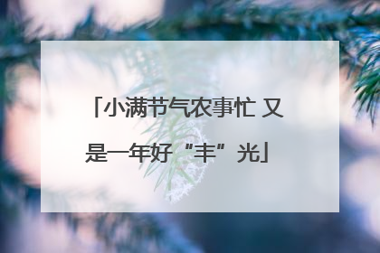 小满节气农事忙 又是一年好“丰”光
