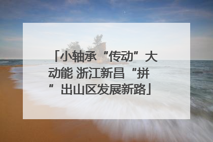 小轴承“传动”大动能 浙江新昌“拼”出山区发展新路