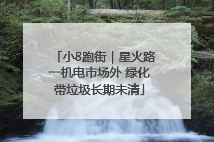 小8跑街｜星火路一机电市场外 绿化带垃圾长期未清