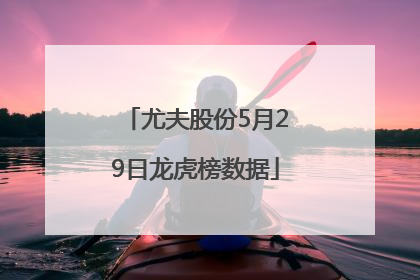 尤夫股份5月29日龙虎榜数据