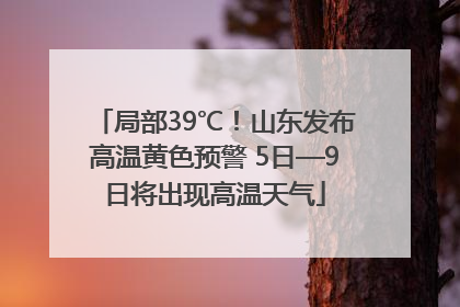 局部39℃！山东发布高温黄色预警 5日—9日将出现高温天气