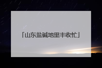 山东盐碱地里丰收忙