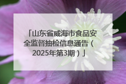 山东省威海市食品安全监督抽检信息通告（2025年第3期）