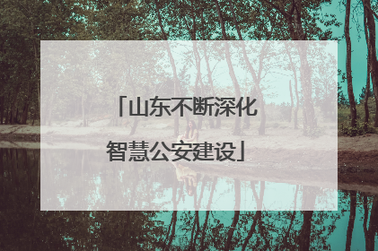 山东不断深化智慧公安建设