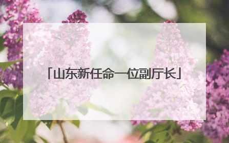 山东新任命一位副厅长