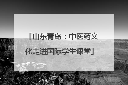 山东青岛：中医药文化走进国际学生课堂
