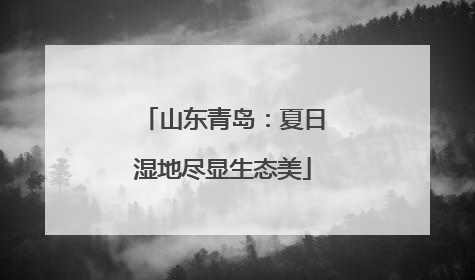 山东青岛：夏日湿地尽显生态美