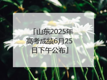 山东2025年高考成绩6月25日下午公布