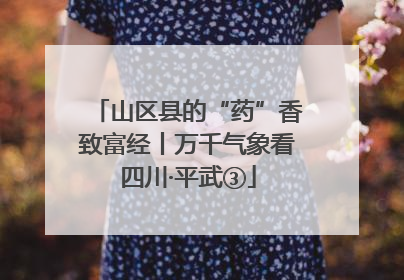 山区县的“药”香致富经丨万千气象看四川·平武③