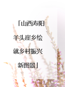 山西寿阳羊头崖乡绘就乡村振兴新图景