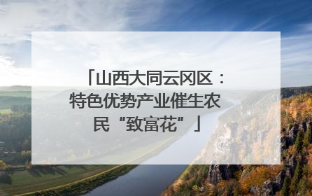 山西大同云冈区：特色优势产业催生农民“致富花”