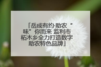 岳成有约·助农“味”你而来 监利市柘木乡全力打造数字助农特色品牌