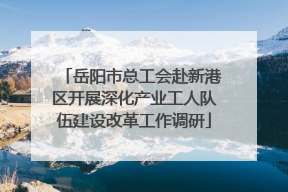 岳阳市总工会赴新港区开展深化产业工人队伍建设改革工作调研