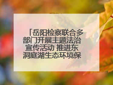 岳阳检察联合多部门开展主题法治宣传活动 推进东洞庭湖生态环境保护工作