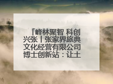 峰林聚智 科创兴张丨张家界旅典文化经营有限公司博士创新站：让土家织锦“智”造出非遗新传奇