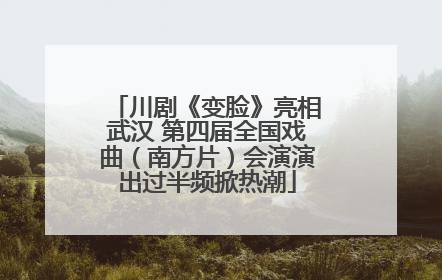 川剧《变脸》亮相武汉 第四届全国戏曲（南方片）会演演出过半频掀热潮