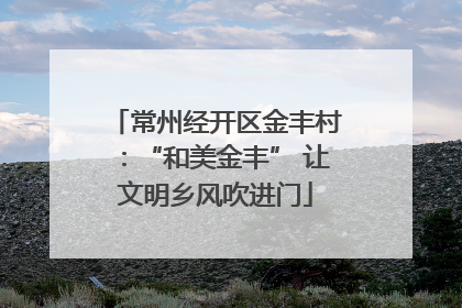 常州经开区金丰村：“和美金丰” 让文明乡风吹进门