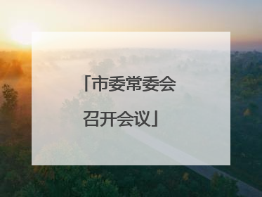 市委常委会召开会议