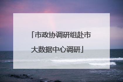 市政协调研组赴市大数据中心调研