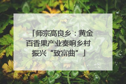 师宗高良乡：黄金百香果产业奏响乡村振兴“致富曲”