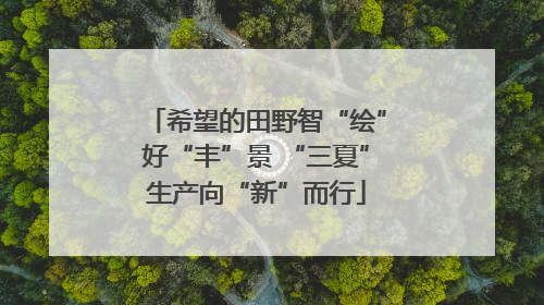希望的田野智“绘”好“丰”景 “三夏”生产向“新”而行