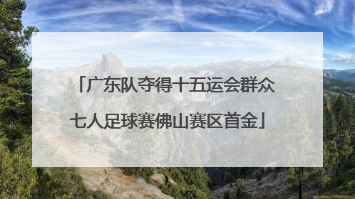 广东队夺得十五运会群众七人足球赛佛山赛区首金