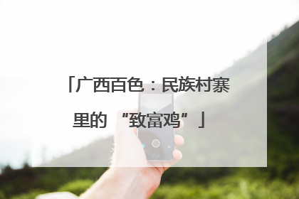 广西百色：民族村寨里的 “致富鸡”