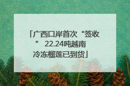 广西口岸首次“签收” 22.24吨越南冷冻榴莲已到货