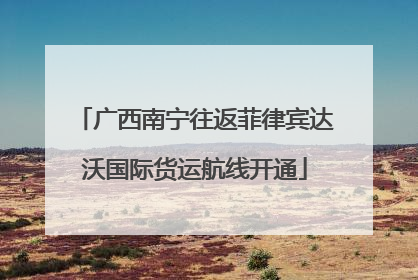 广西南宁往返菲律宾达沃国际货运航线开通