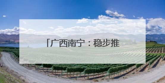 广西南宁：稳步推进城中村改造项目