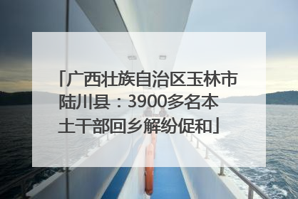 广西壮族自治区玉林市陆川县：3900多名本土干部回乡解纷促和