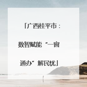广西桂平市：数智赋能“一窗通办”解民忧
