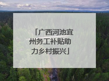 广西河池宜州务工补贴助力乡村振兴
