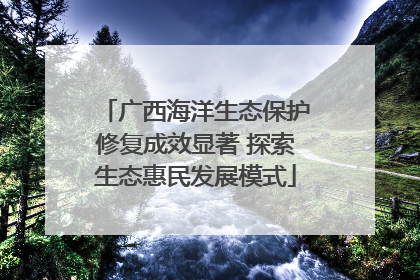 广西海洋生态保护修复成效显著 探索生态惠民发展模式