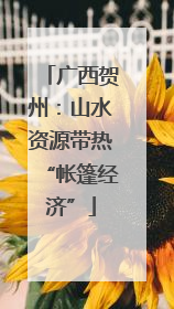 广西贺州：山水资源带热“帐篷经济”