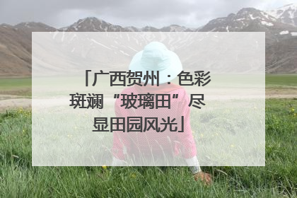 广西贺州：色彩斑斓“玻璃田”尽显田园风光