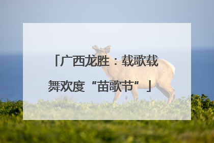 广西龙胜：载歌载舞欢度“苗歌节”