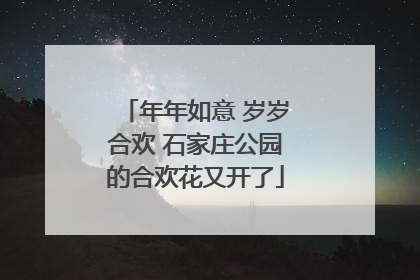 年年如意 岁岁合欢 石家庄公园的合欢花又开了