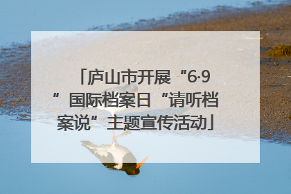 庐山市开展“6·9”国际档案日“请听档案说”主题宣传活动