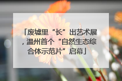 废墟里“长”出艺术展，温州首个“自然生态综合体示范片”启幕