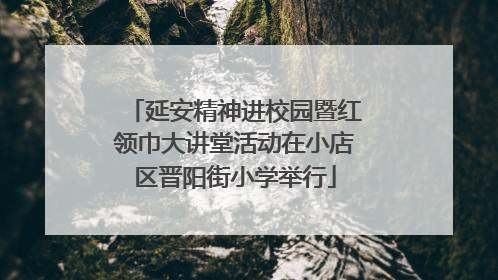 延安精神进校园暨红领巾大讲堂活动在小店区晋阳街小学举行