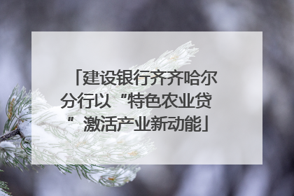 建设银行齐齐哈尔分行以“特色农业贷”激活产业新动能