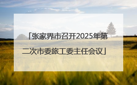 张家界市召开2025年第二次市委旅工委主任会议