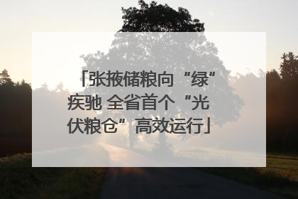 张掖储粮向“绿”疾驰 全省首个“光伏粮仓”高效运行