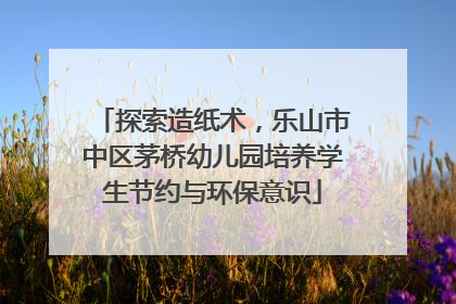 探索造纸术，乐山市中区茅桥幼儿园培养学生节约与环保意识