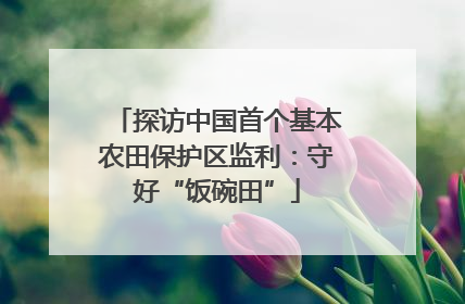 探访中国首个基本农田保护区监利：守好“饭碗田”