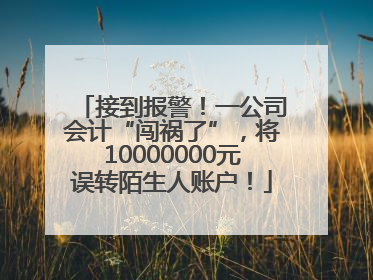 接到报警！一公司会计“闯祸了”，将10000000元误转陌生人账户！